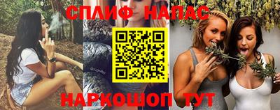 PSILOCYBIN Нальчик