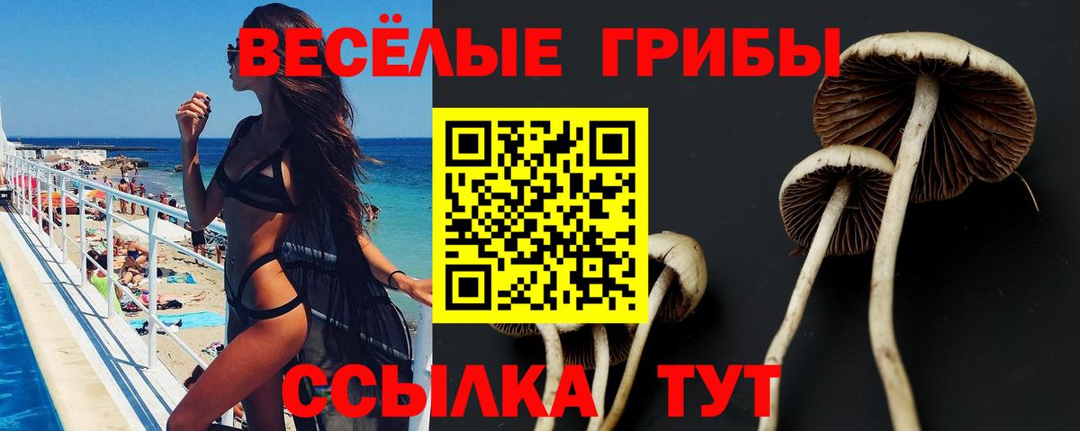 Галлюциногенные грибы Magic Shrooms  Галлюциногенные грибы мицелий  Вход с VPN  Сланцы 