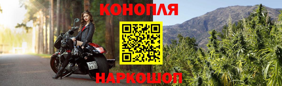 Канабис марихуана Сланцы