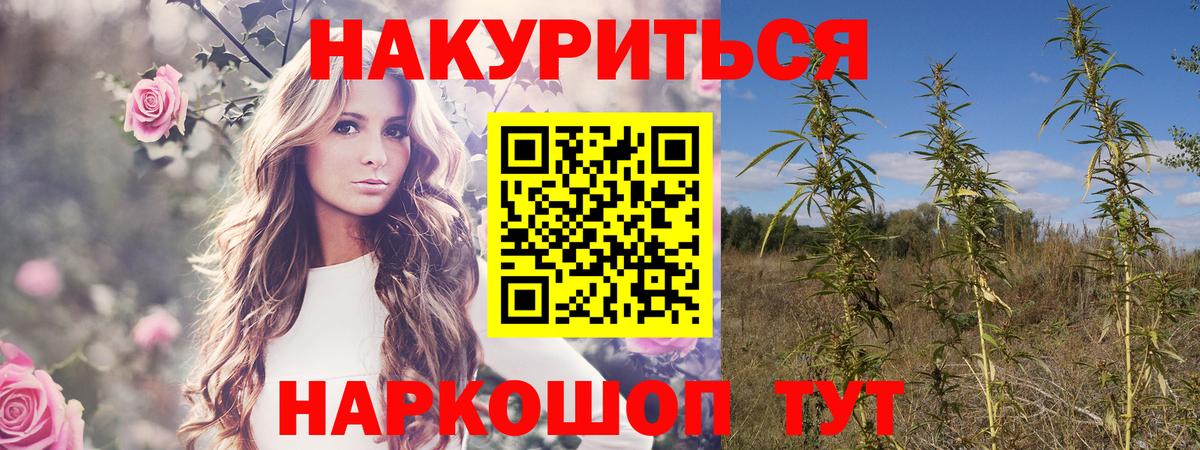 МАРИХУАНА тримм  Вход с VPN  Сланцы  Канабис семена  Бошки Шишки ГИДРОПОН 